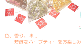 タイトル2-3