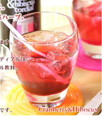 ハーブコーディアル10-2