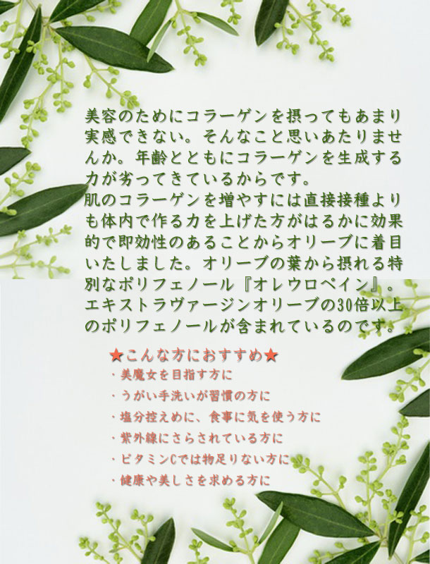 白麗　美容ハーブティー