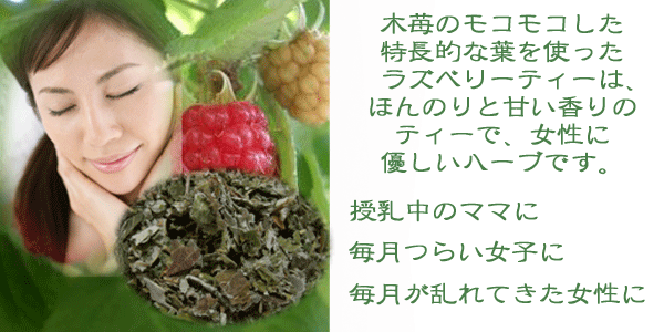 ラズベリーリーフ